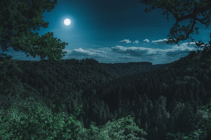 Moon Garden Receptions